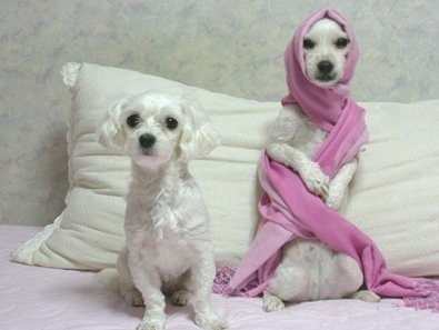 2애들은 놓고가라 에미야.jpg