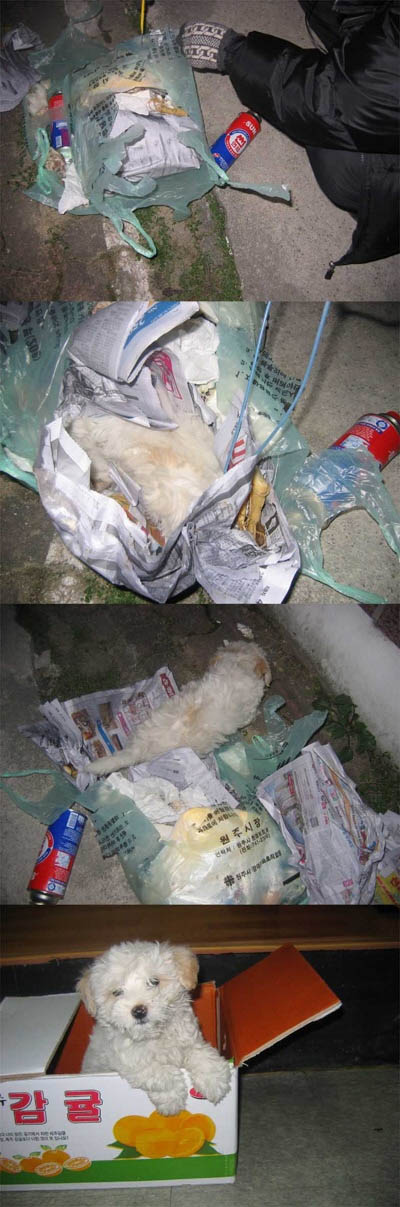 이게뭐야 이게뭐야.jpg