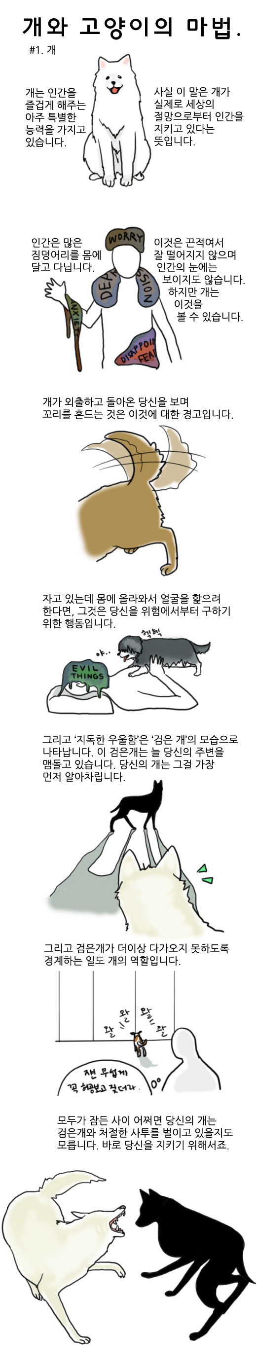 개와고양이의마법1.jpg