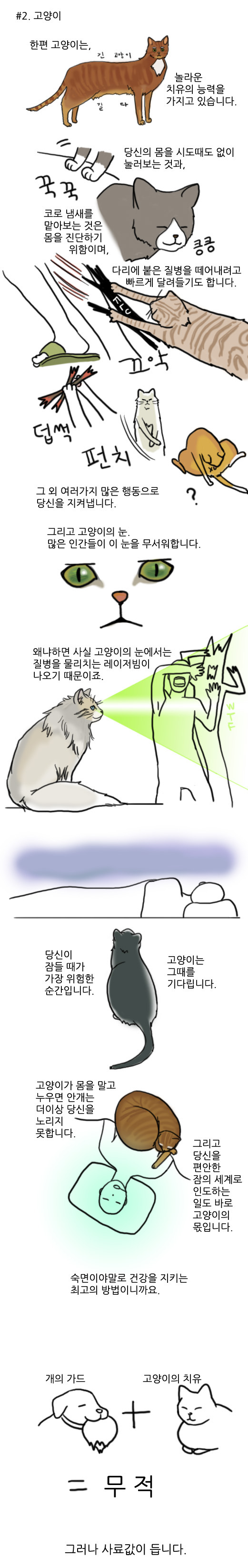 개와고양이의마법2.jpg