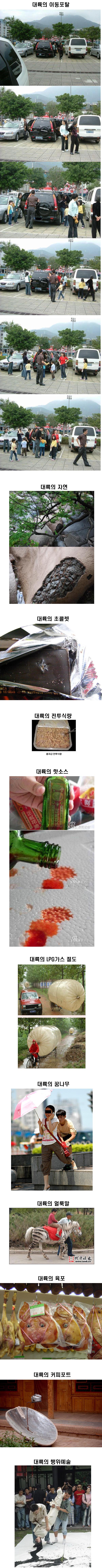 대륙의 기상2.jpg