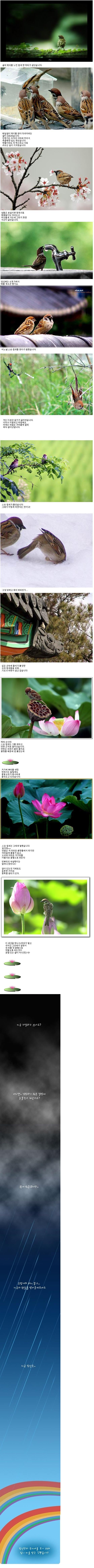 삶에 회의를 느낀 참새 한마리.JPG